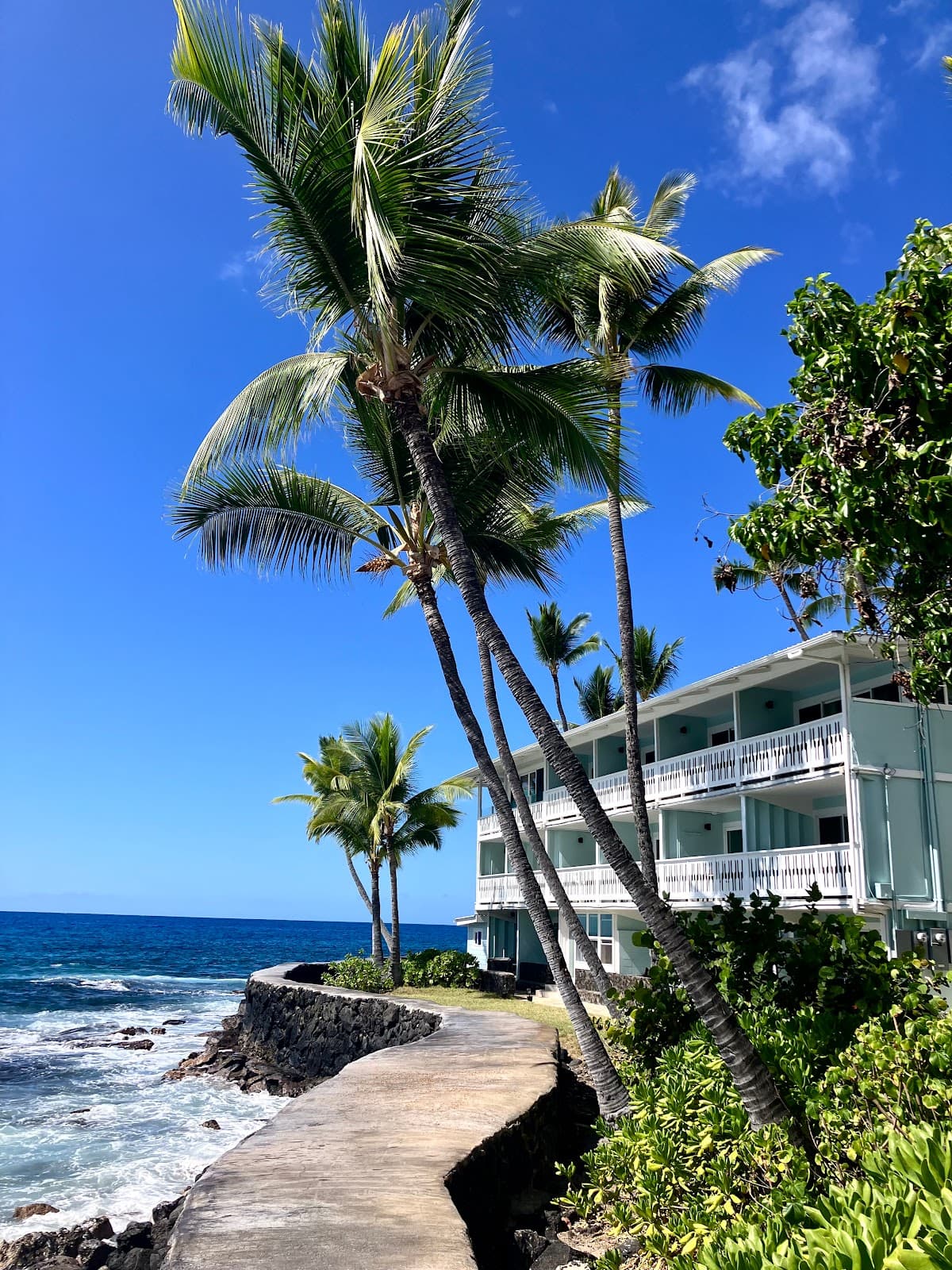 Kona Tiki Hotel