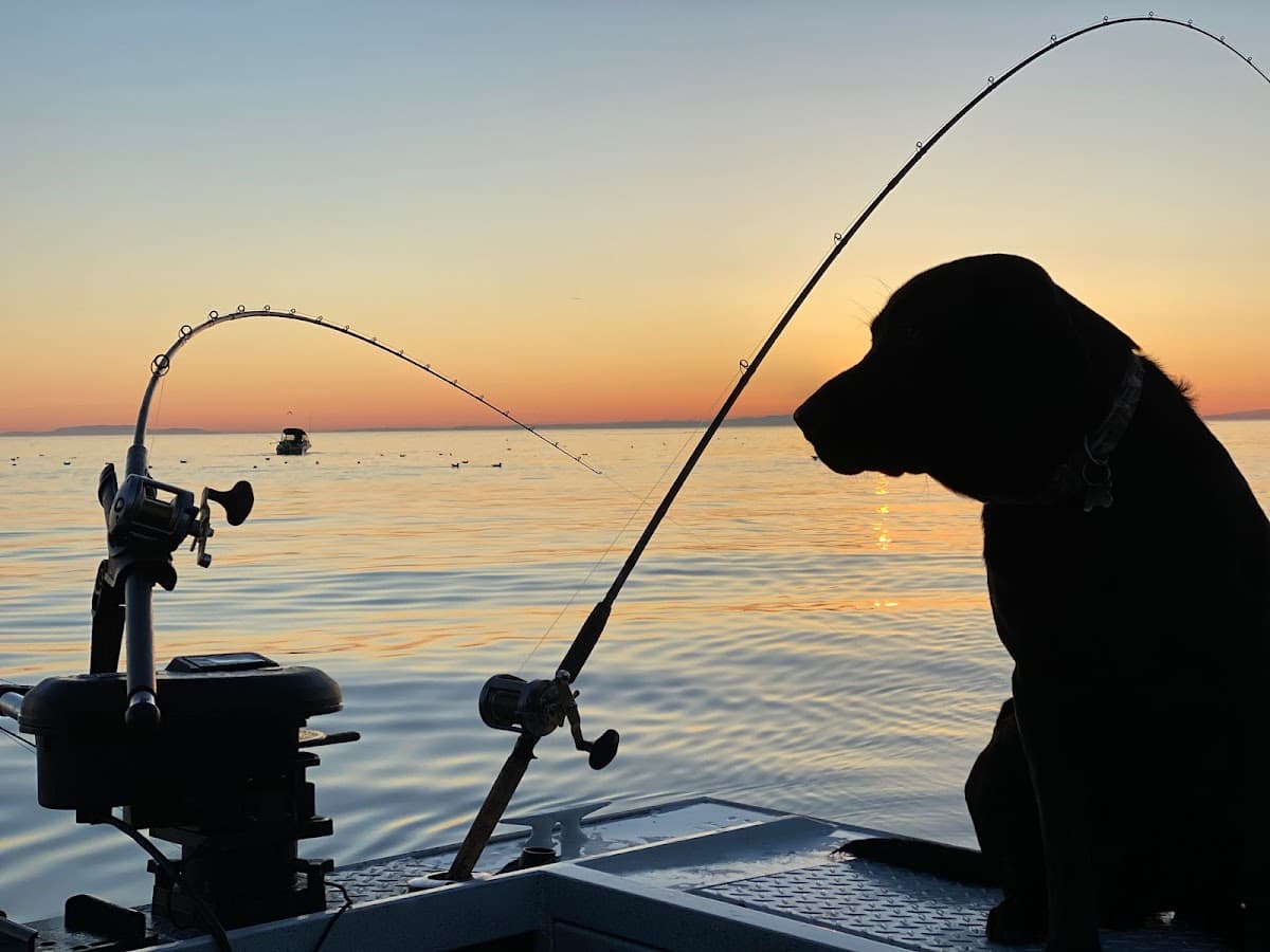 Seldovia Fishing Adventures and House on the Rock B&B