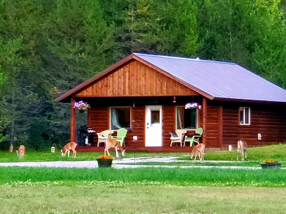 Glacier Trail Cabins
