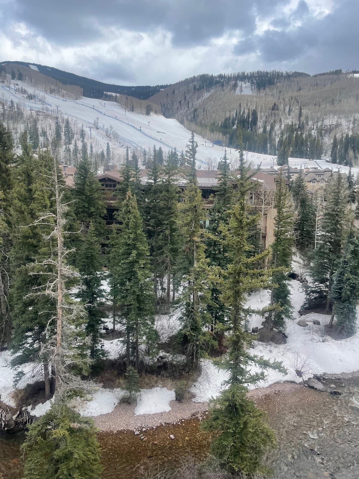 The Wren at Vail by East West Hospitality