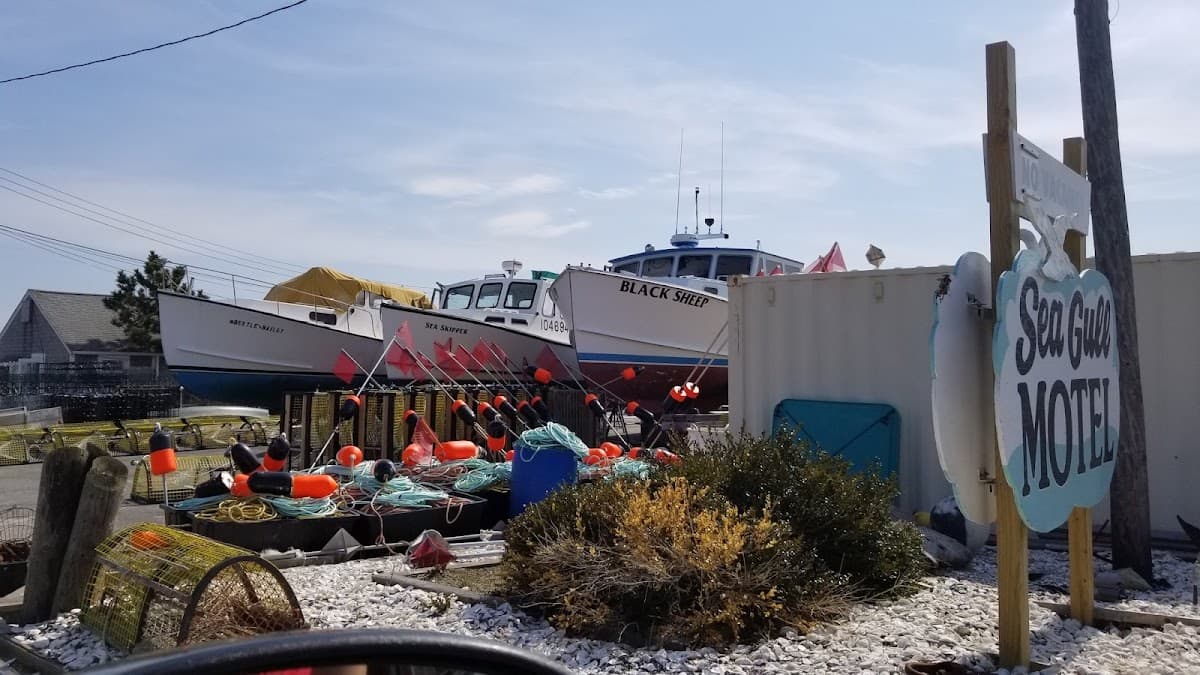 Sea Gull Motel