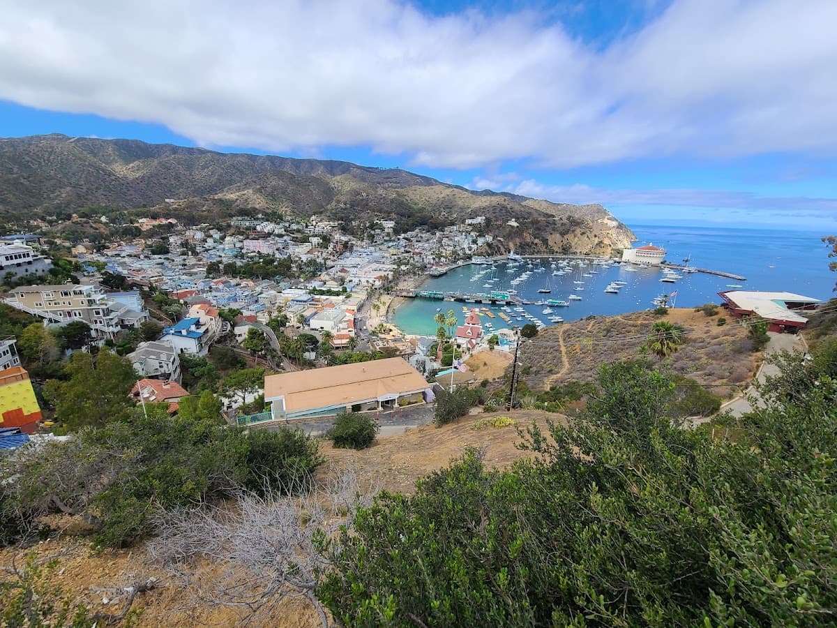 catalina flyer