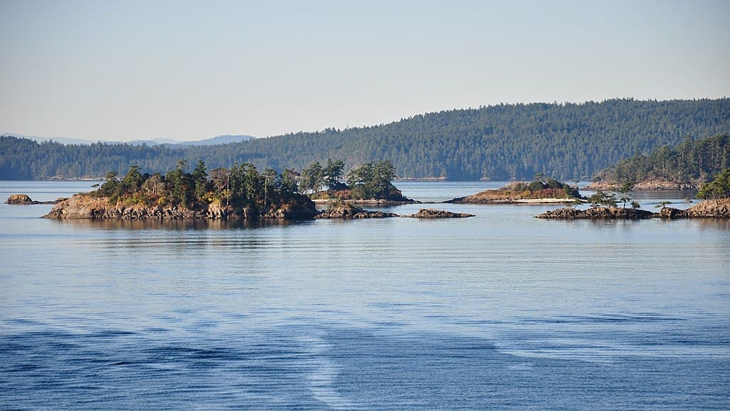 Salish Sea