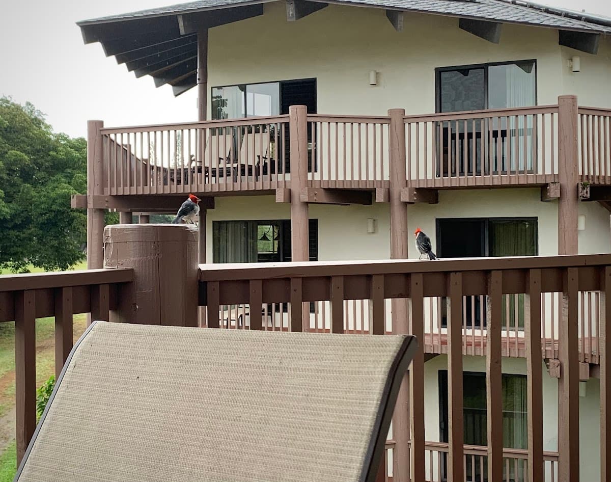 Ka eo kai hotel