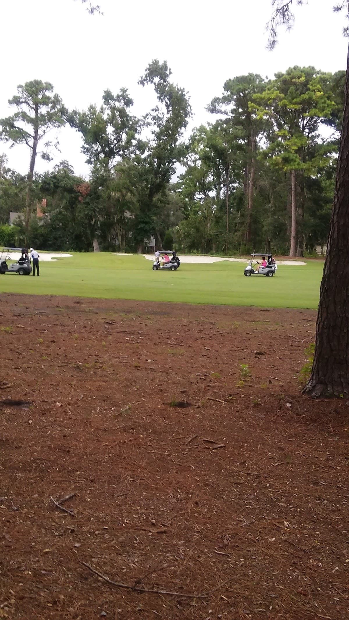 Greens By Resortquest Hilton Head