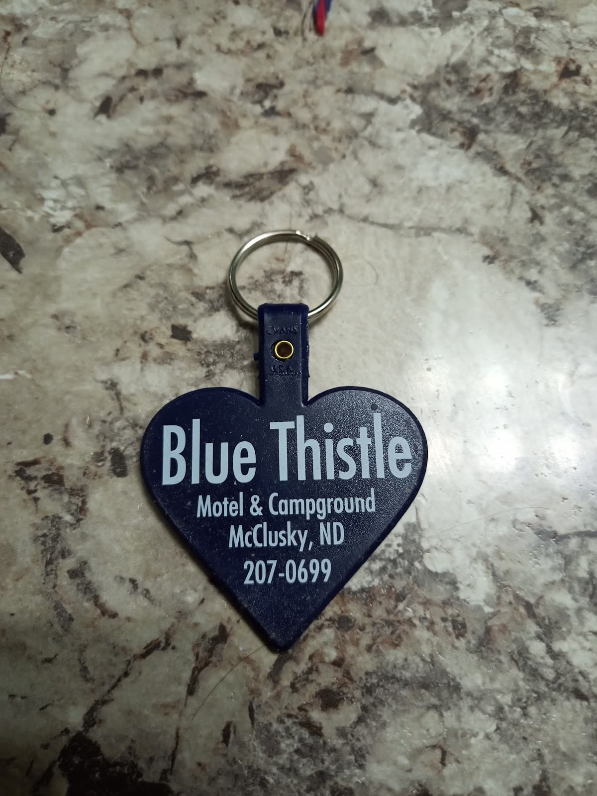 Blue Thistle Motel & Campground