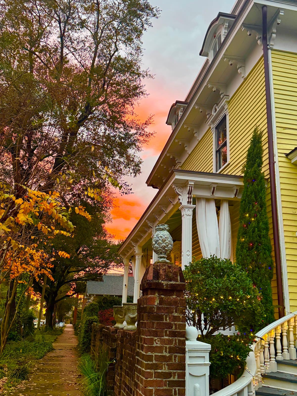 Steer on Dock by HipVacay