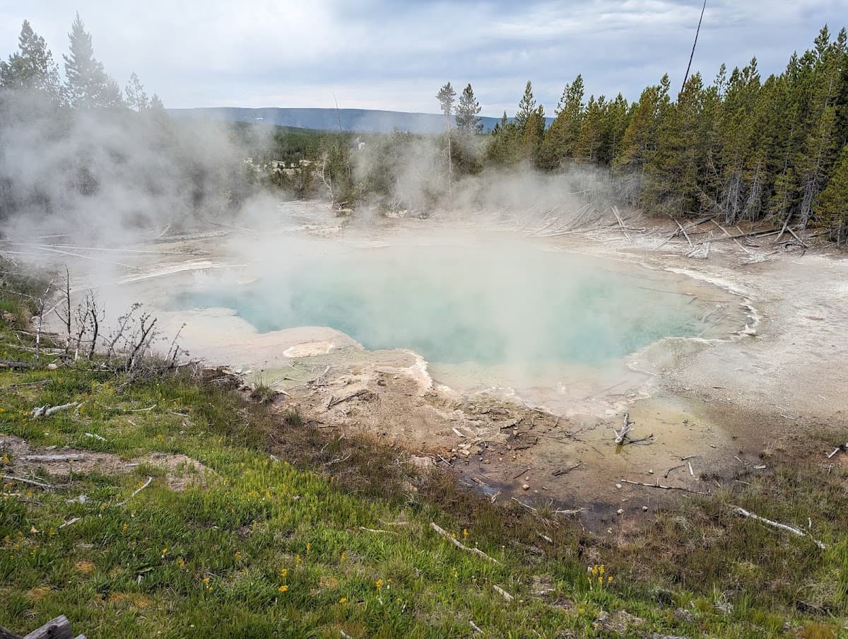 Norris Geyser Basin