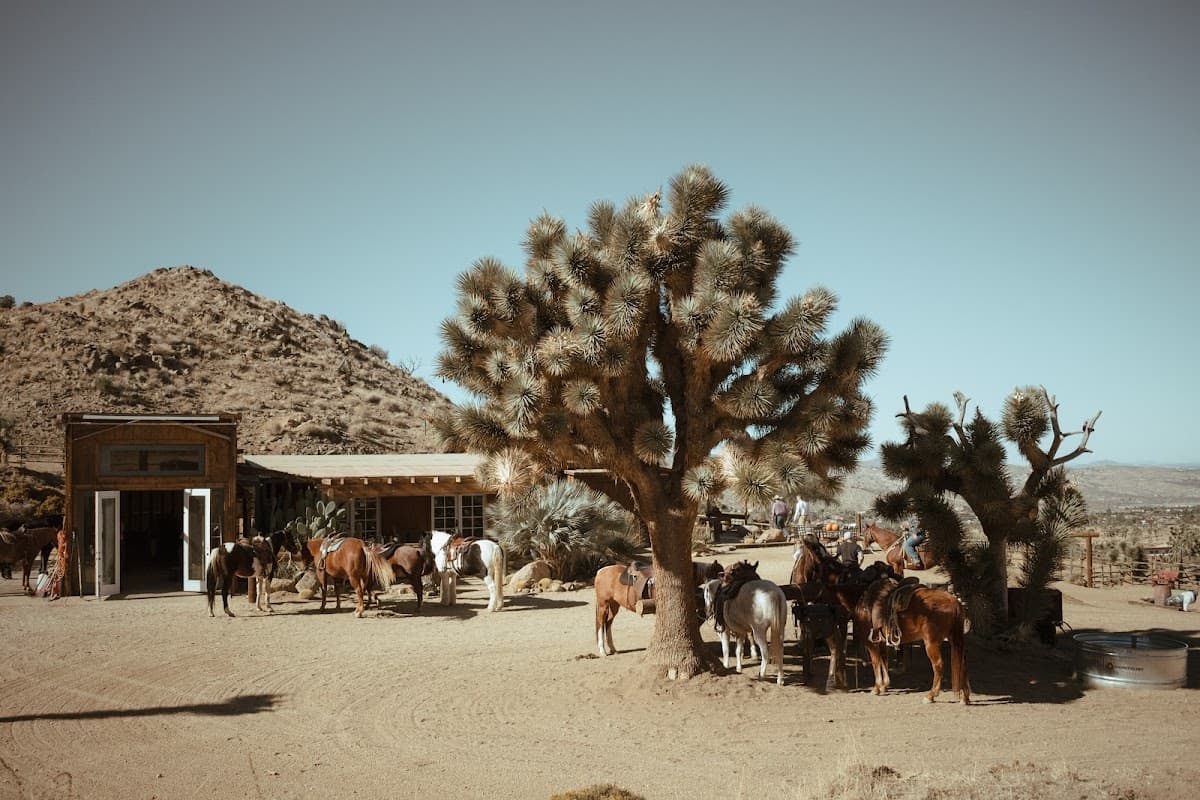 Knob Hill Ranch