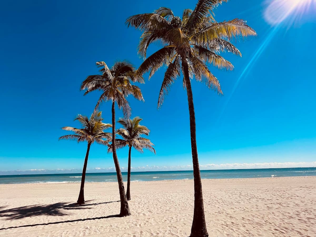 Hollywood Beach Rentals