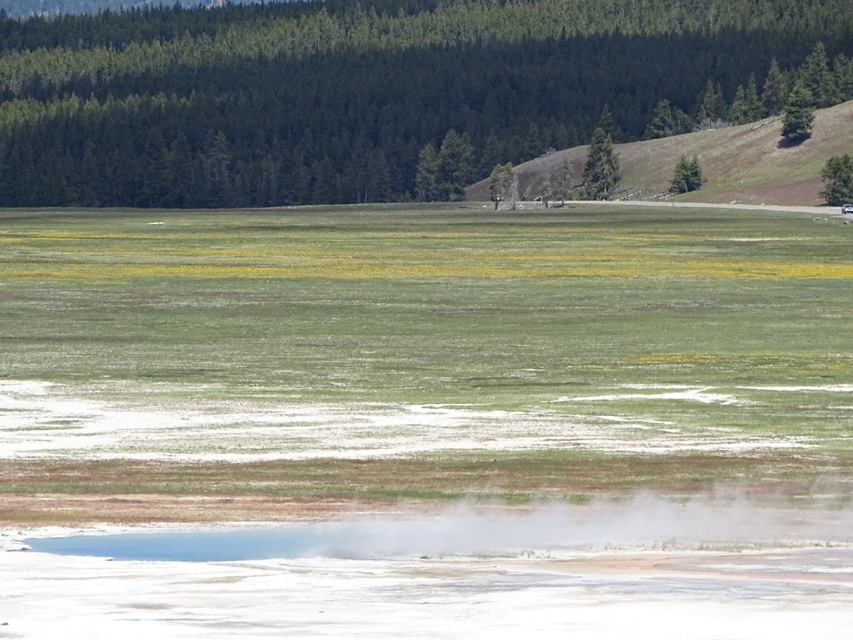 Morning Geyser
