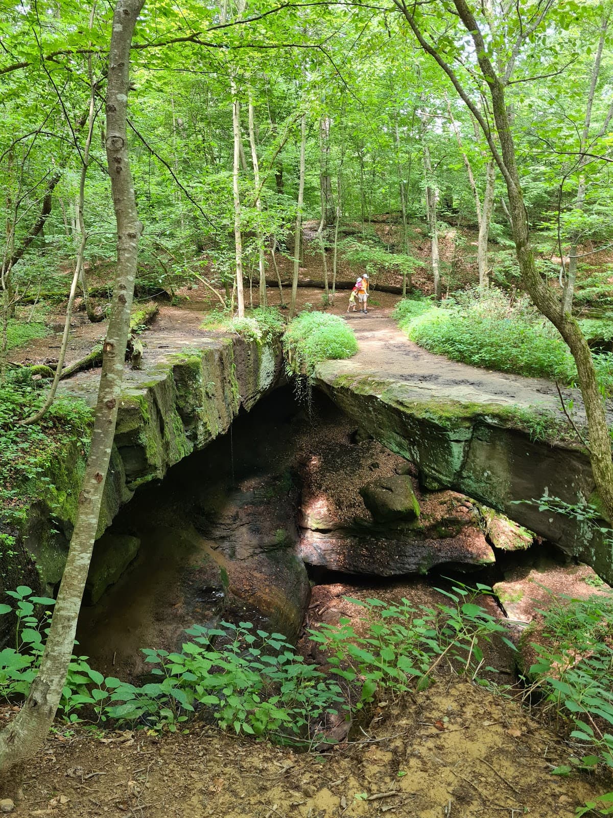 Hickory Hill Lodge