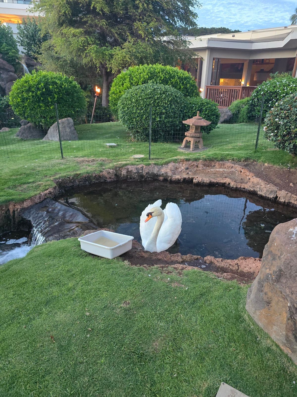 Hyatt Regency Maui Resort and Spa