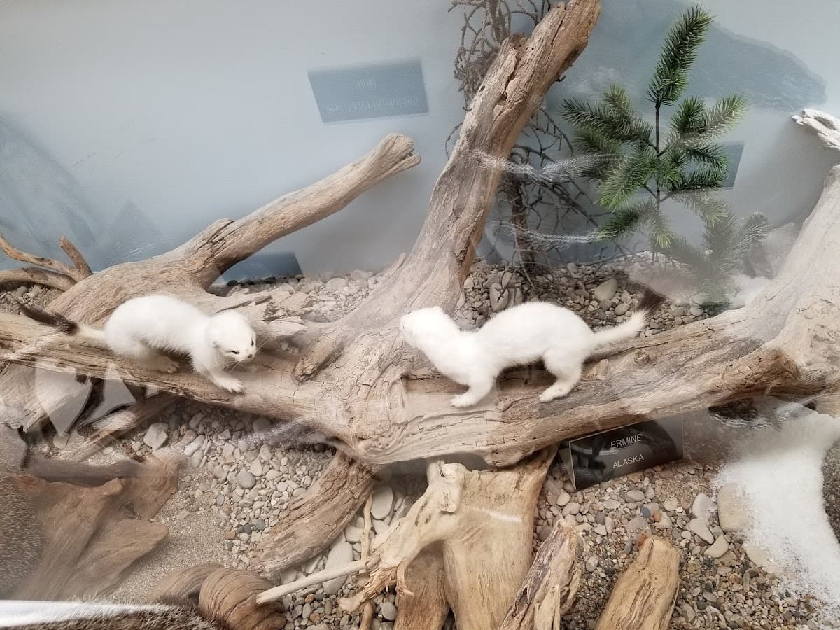 Nature Center