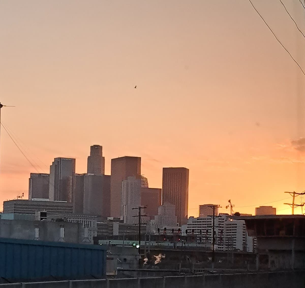 William Mead Housing Management Office