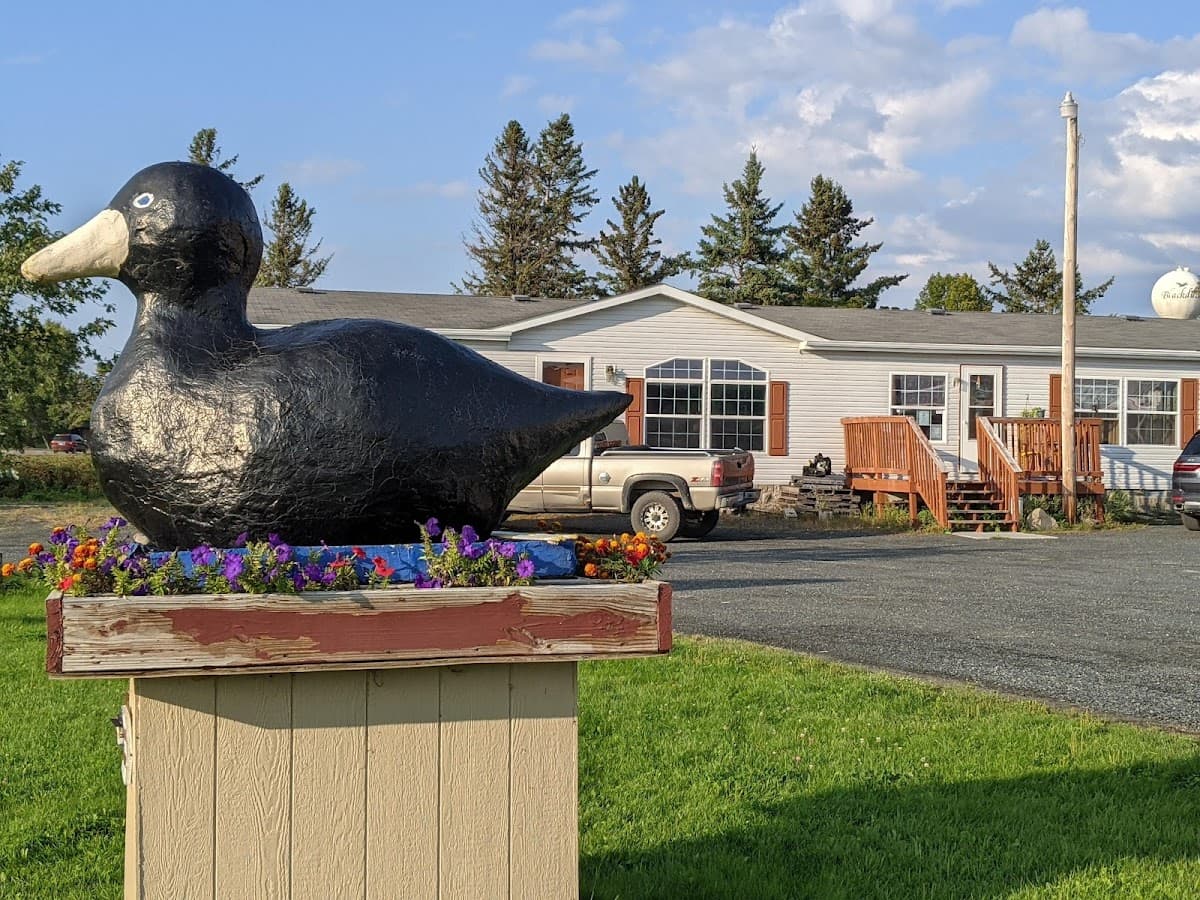 Drake Motel