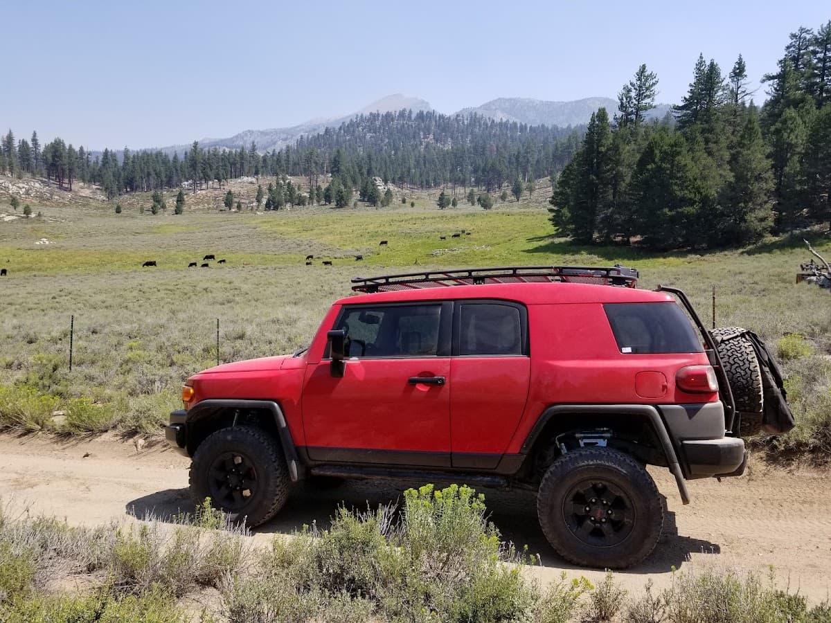 Monache Meadow