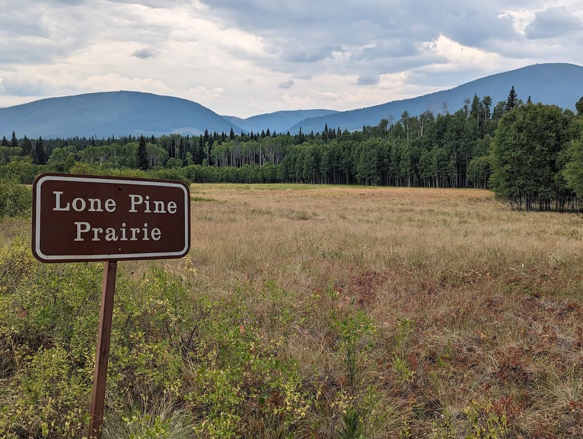 Lone Pine Prairie