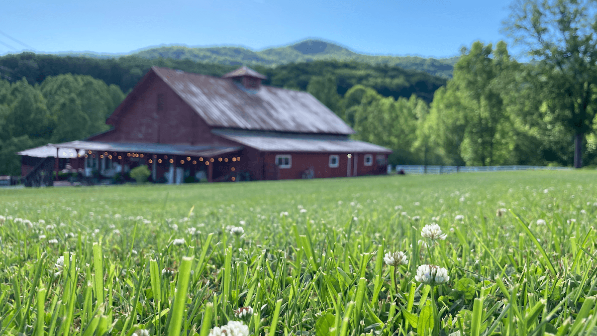 Mountain Laurel Farm