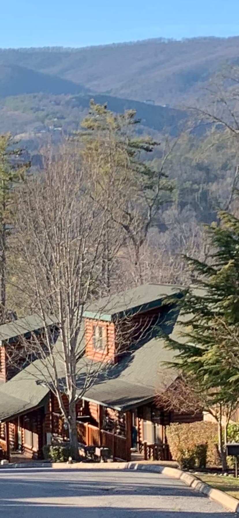 The Smoky Pines