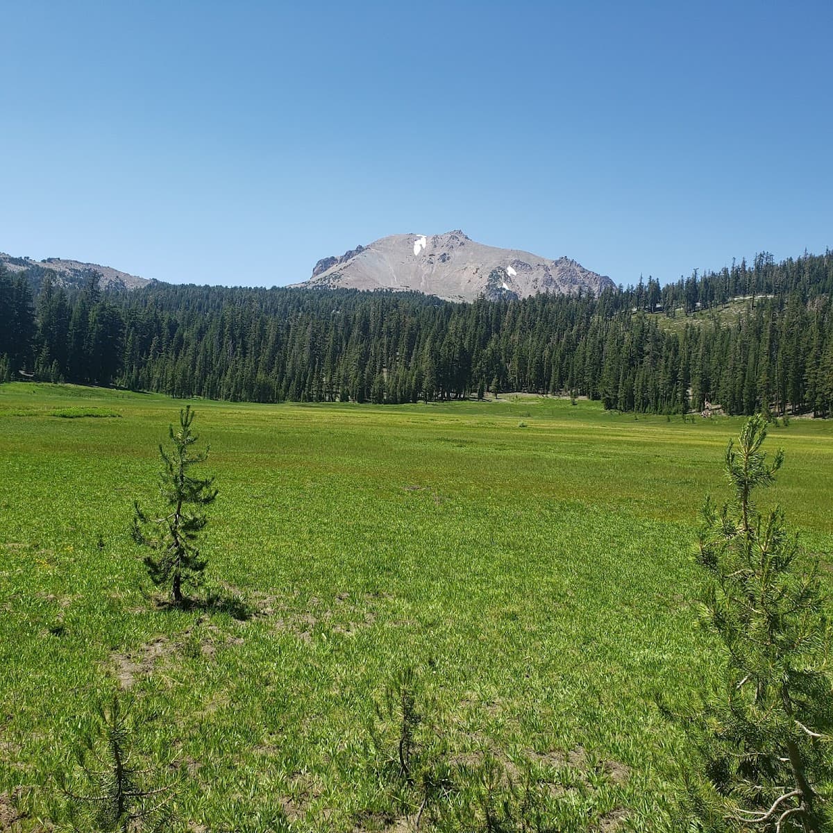 Upper Meadow