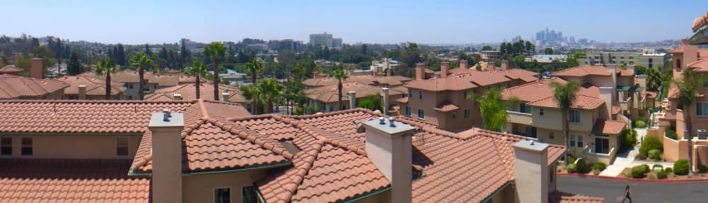 City View Terrace