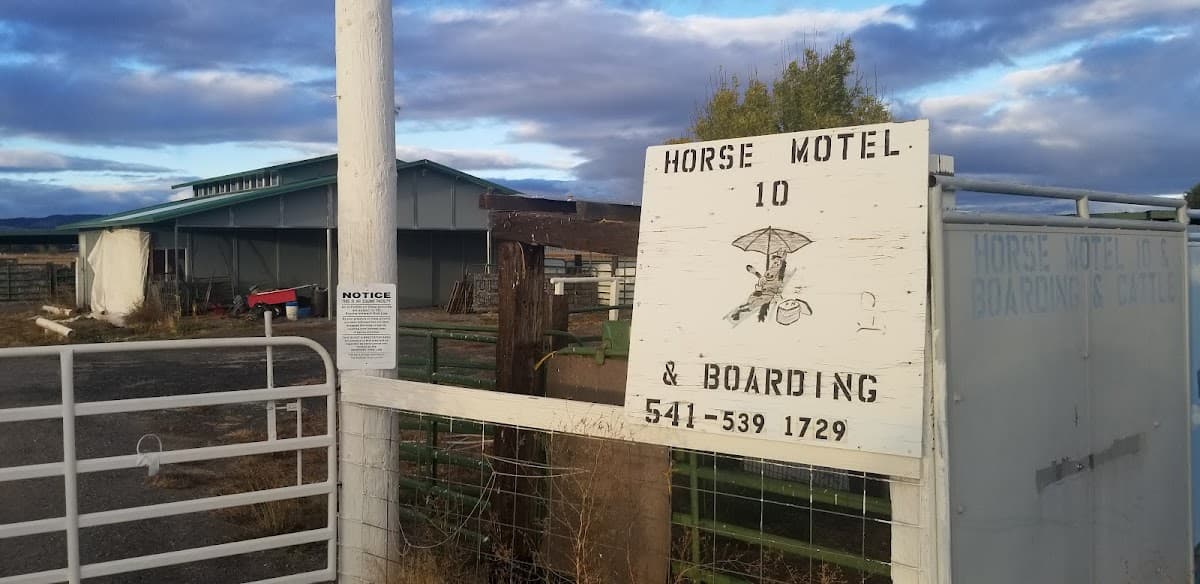Horse Motel 10