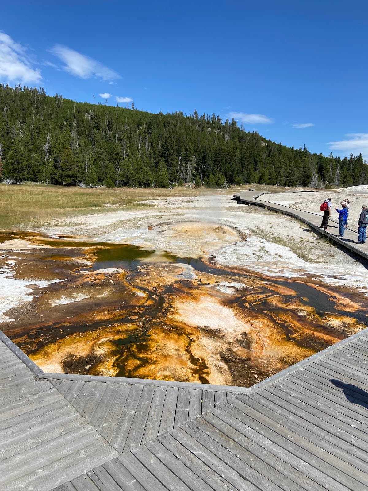 Pump Geyser