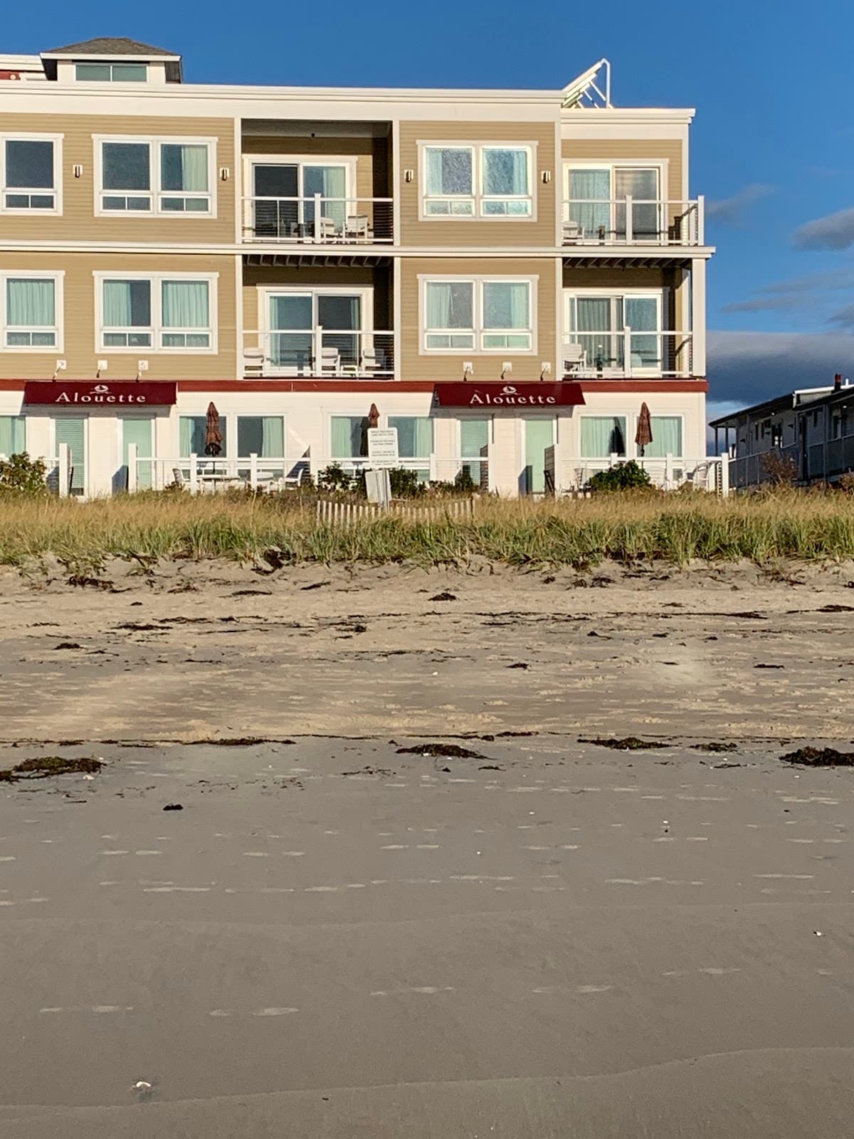 Alouette Sunrise Suite