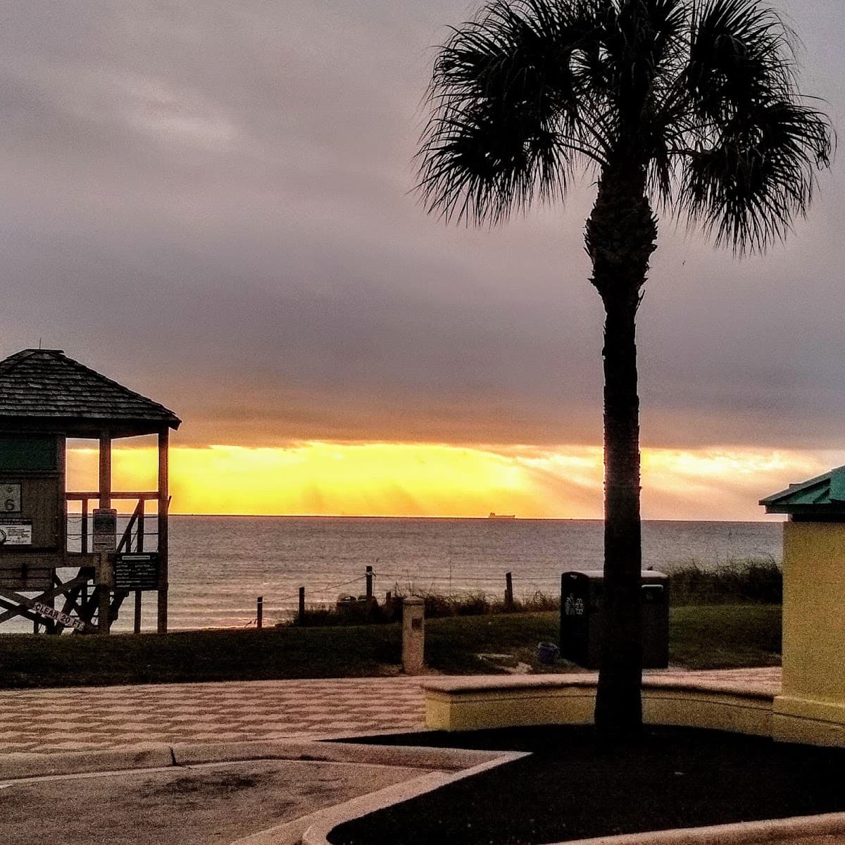 Sand Dollar Apartments