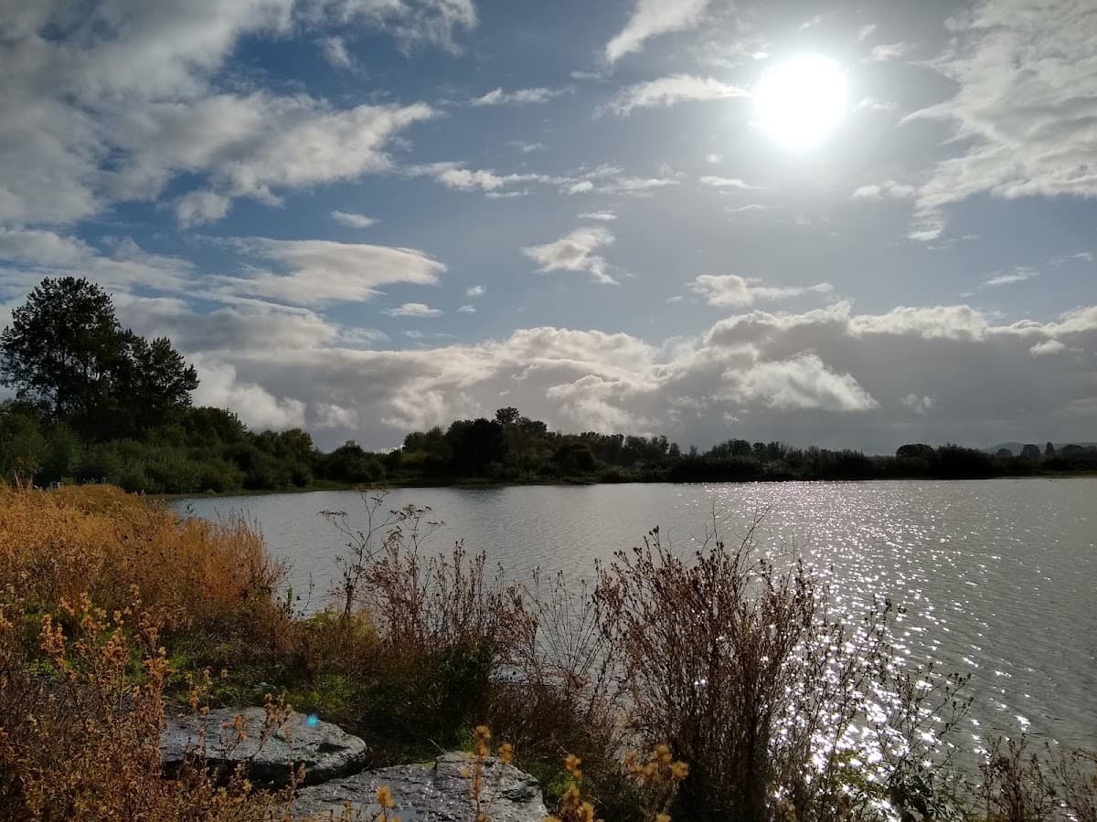 Sewage Lagoon