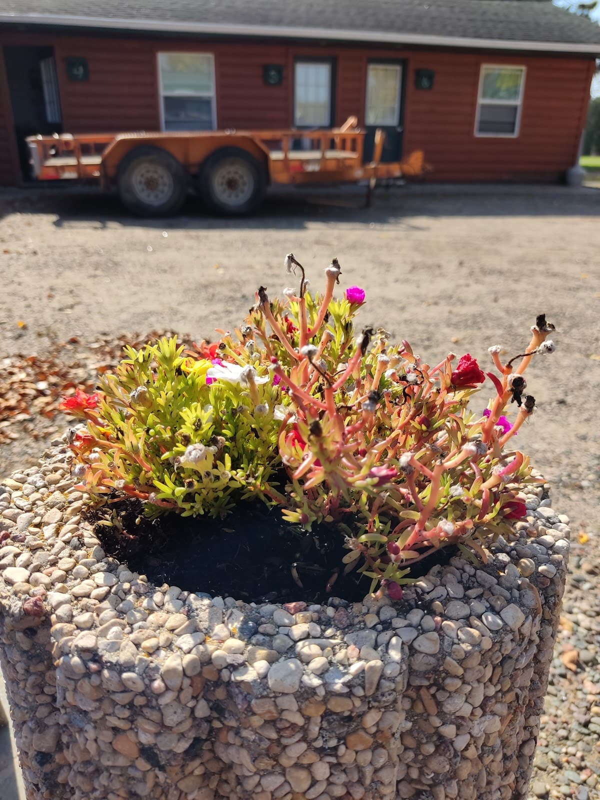 Whitetail Inn