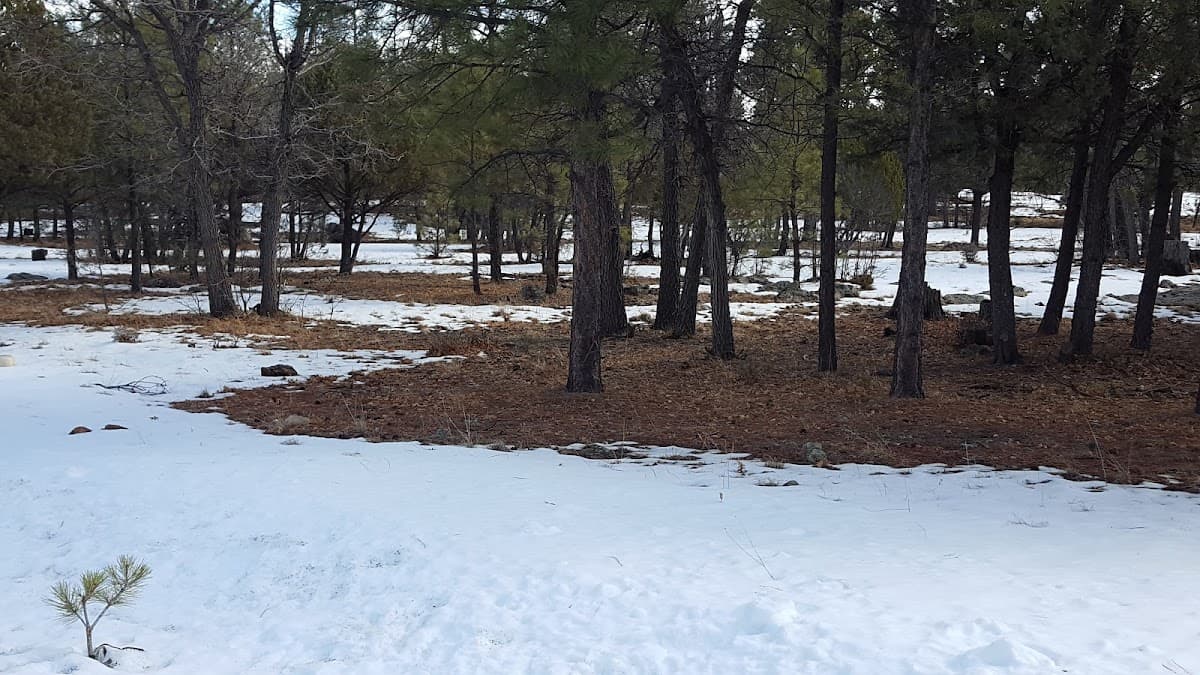 Maxwell Park