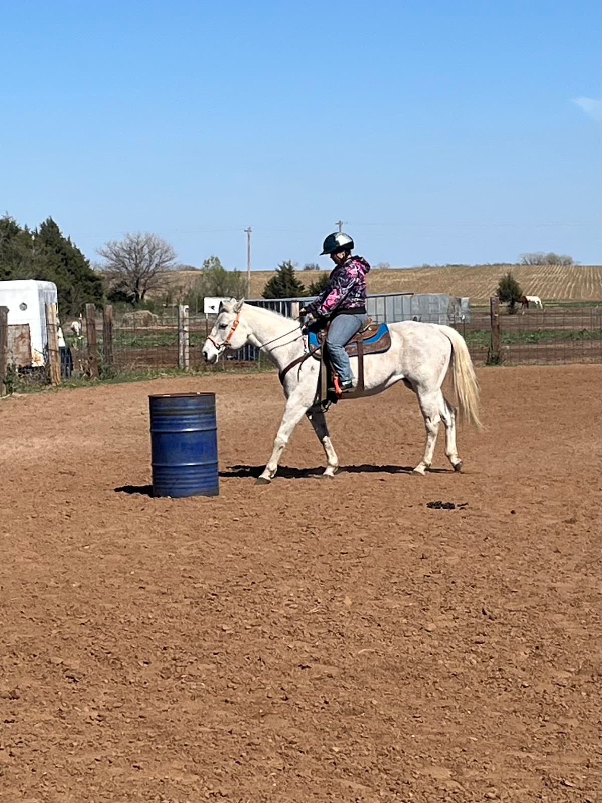 Storm Creek Horse Co. Farm & Rescue