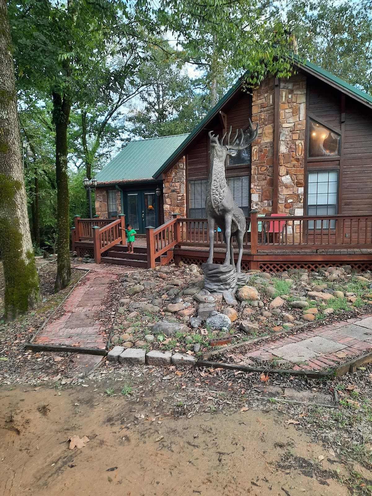 Elk horn cabin