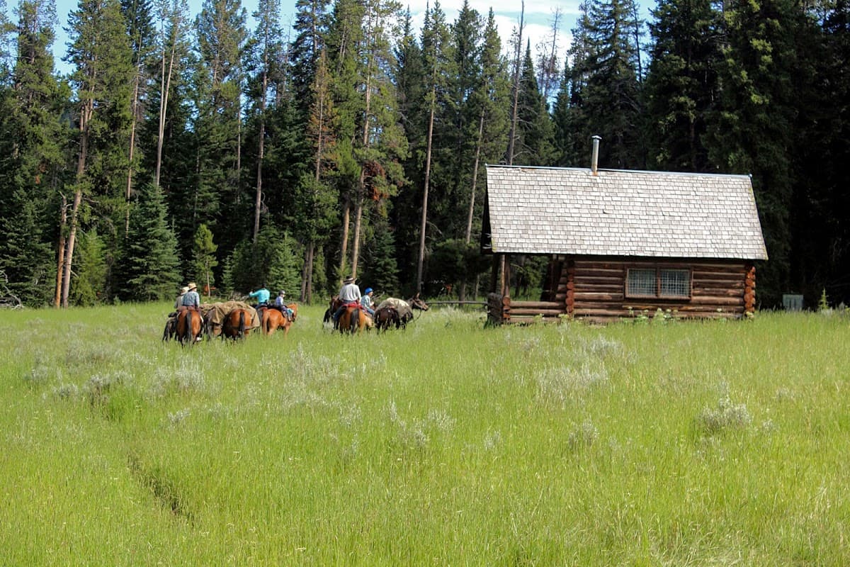 Cow Flats