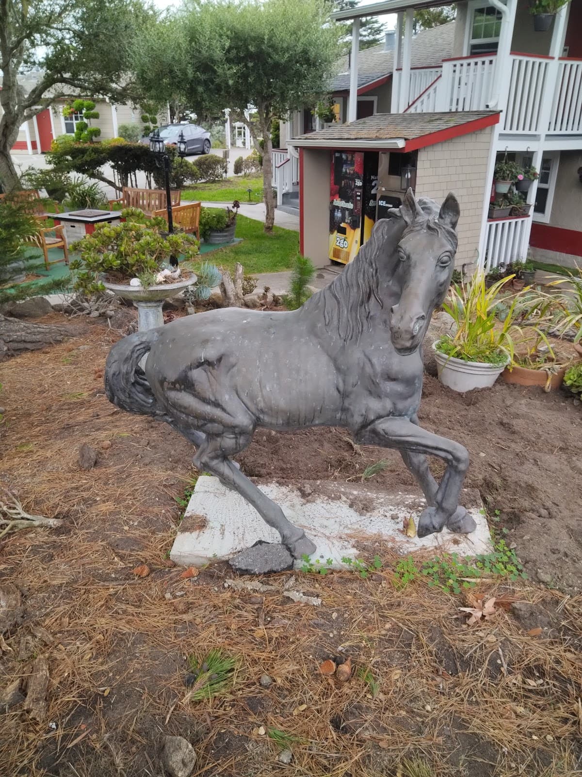 Bide-A-Wee Inn & Cottages