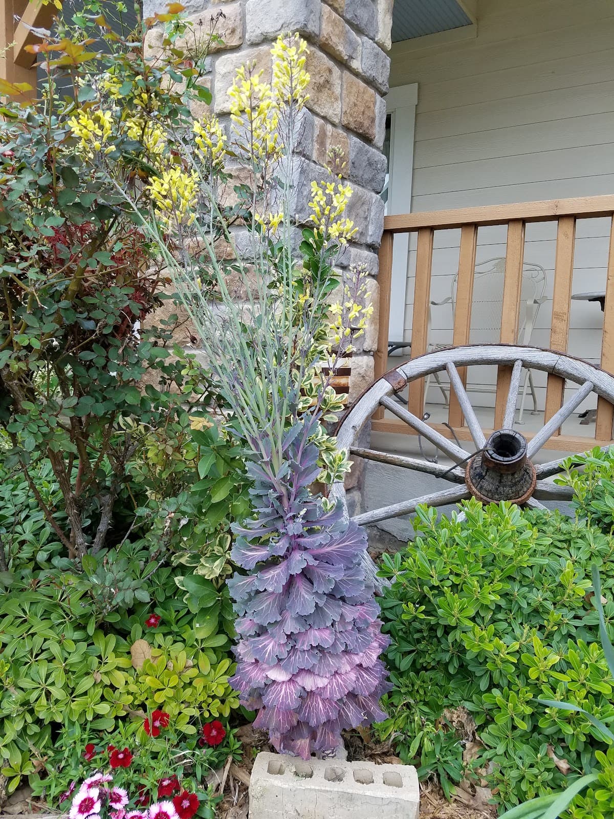 Jefferson Street Bed and Breakfast Inn