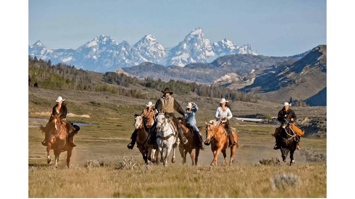 See Jackson Hole