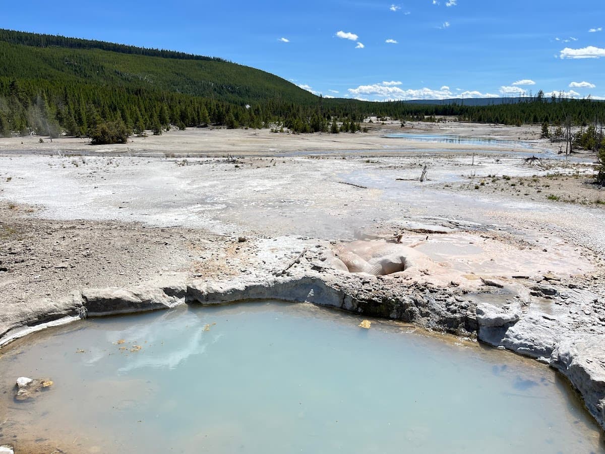 Veteran Geyser